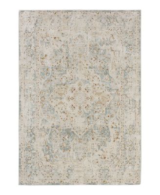 Karastan Windermere Ashbourne Area Rug, 7'10 x 10'3