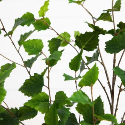 4&#39; Artificial Birch Tree with Real Touch Leaves