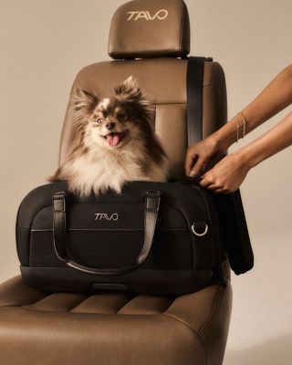 Dupree II Airline Carry-on Pet Car Seat