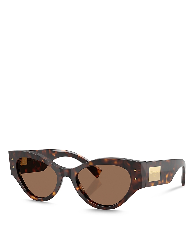 Dolce & Gabbana Logo Plaque Butterfly Sunglasses, 53mm In Havana