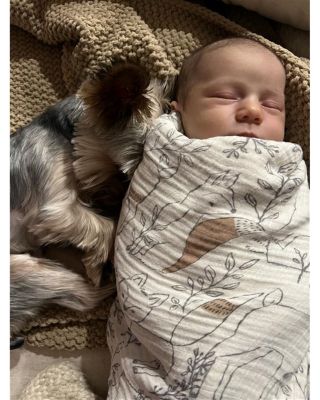 Copper Dash & Ezra Print Swaddle Wraps, 2 Pack - Ages 0-36 Months