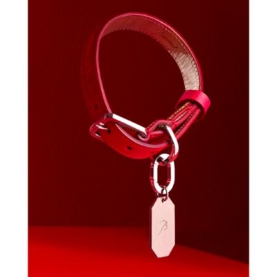 Louxor Allure Pet Collar