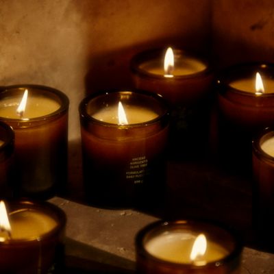  Agrigento Olive Tree Candle 8 oz.