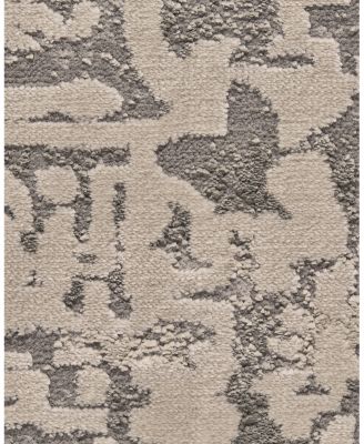 Feizy Prasad 3683F Area Rug, 8' x 11'