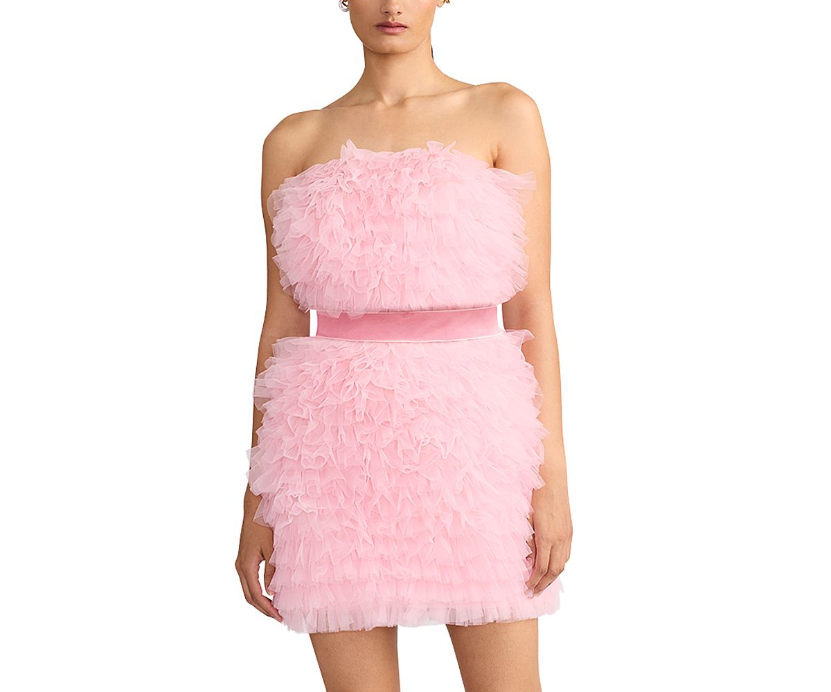 Zac Posen Wicked x Zac Posen Textured Tulle Mini Dress