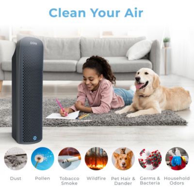 PureZone Elite 4 in 1 True HEPA Air Purifier