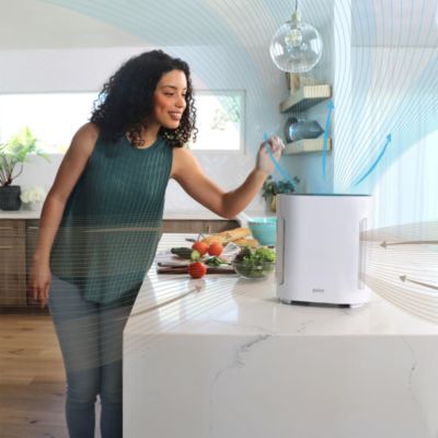 PureZone 3 in 1 True HEPA Air Purifier