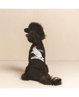 Skiing Dog Pet Sweater