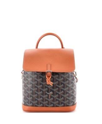 Pre-Owned Goyard - Mini Alpin Backpack Coated Canvas