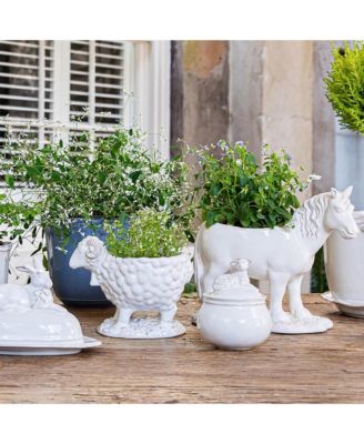 Clever Creatures Rousseau Rooster Pitcher