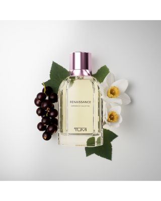 Renaissance Experience Collector Extrait de Parfum 3.4 oz.