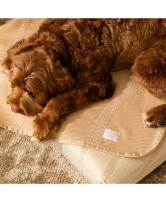 Brigette Romanek Luxury Pet Blanket