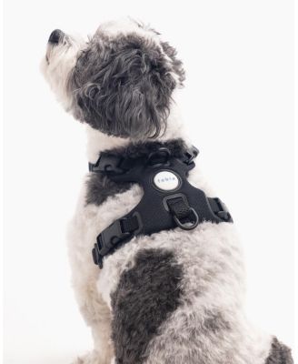  Signature Harness - Extra Small