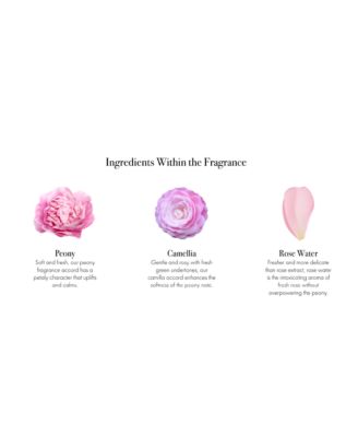 Duchess Peony Signature Reed Diffuser, 15 oz.