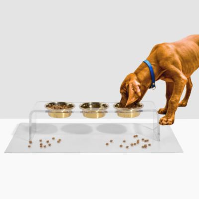 Tall Clear Triple Dog Bowl Feeder with 2 Quart Silver Bowls