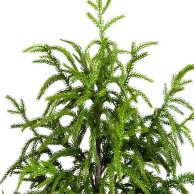 4&#39; Artificial Norfolk Pine Tree