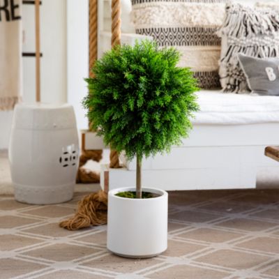 2.5&#39; UV Resistant Artificial Cedar Ball Topiary Tree in White Decorative Planter (Indoor/Outdoor) Artificial Topiary