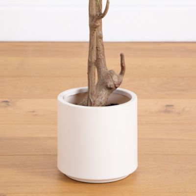 7&#39; Artificial Minimalist Olive Tree in White Decorative Planter