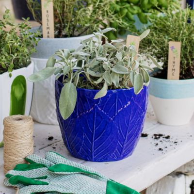 Viva Garden Embossed Leaves Cachepot