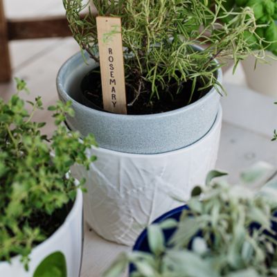 Viva Garden Embossed Leaves Cachepot