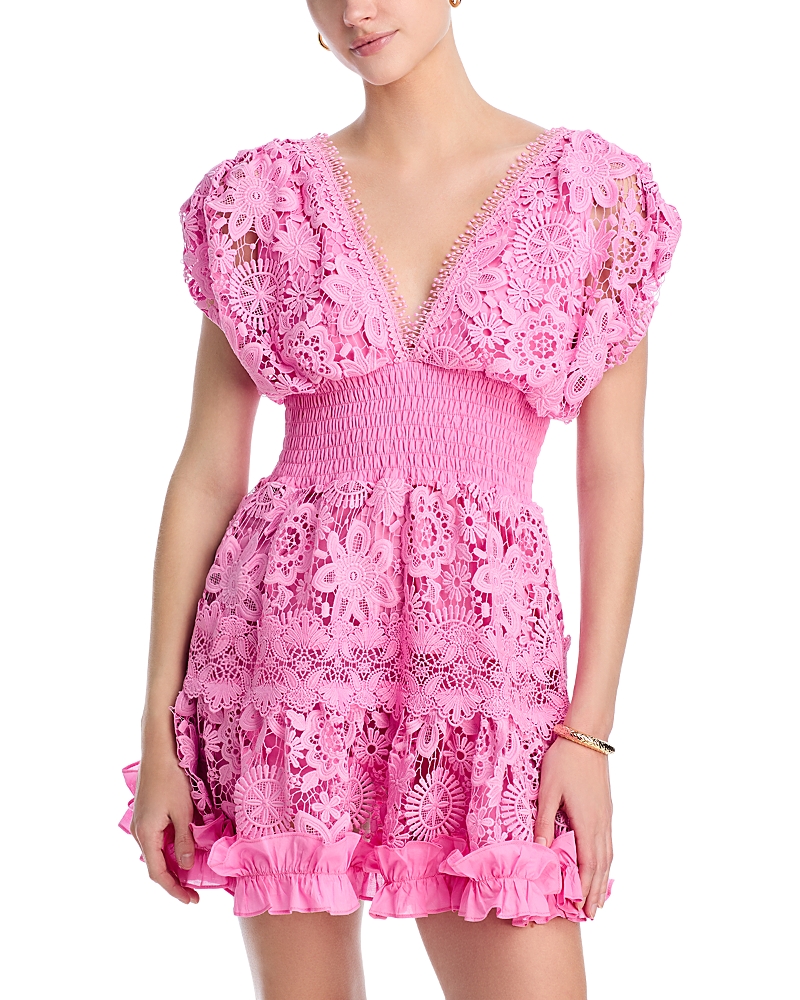 Waimari Morana Lace Embroidered Mini Dress In Rose