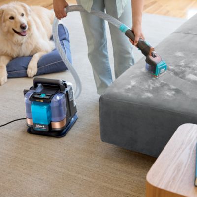 StainStriker HairPro Portable Spot and Stain Deep Cleaner