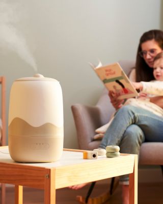 Cool Mist Humidifier