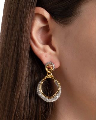 Solanales Crystal Orbit Drop Earrings
