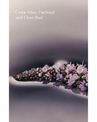 Eleos Nourishing Body Cleanser 6 oz.