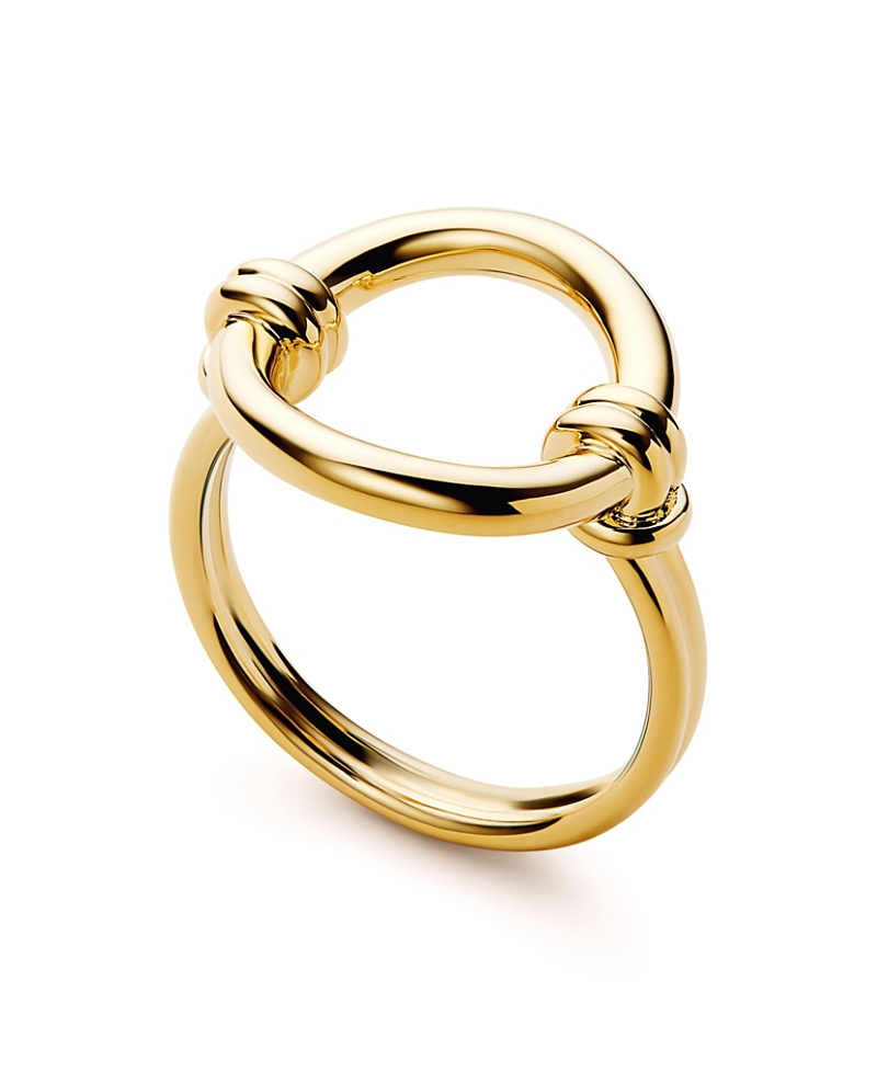 Ana Luisa Remi Open Circle Ring In Gold
