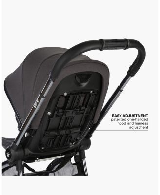 R1 Stroller - Baby, Little Kid