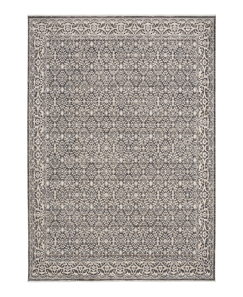 Nourison Home Shadows Shw04 Area Rug, 5'3 X 7'3 In Gray