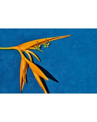 Bianca Butterfly Huggie Earrings