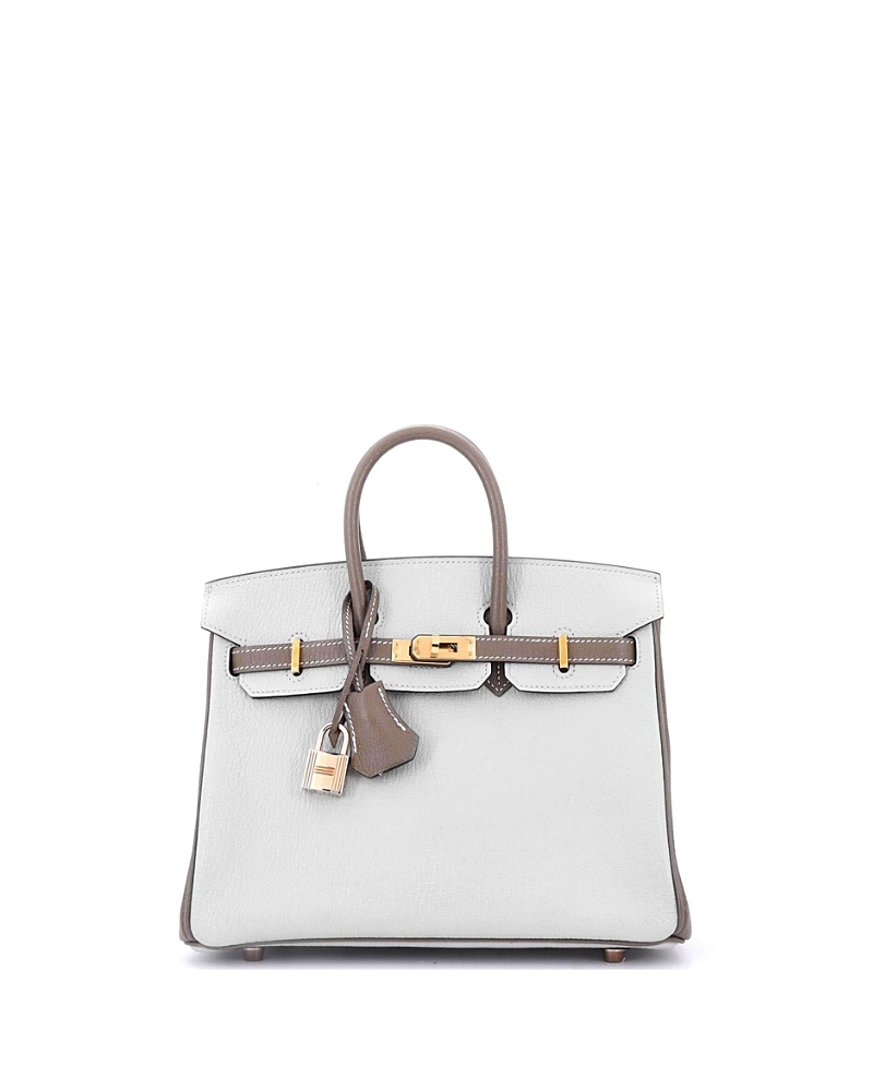 Pre-owned Pre-owned Hermes Hermes Birkin 25 Handbag Bicolor Chevre Mysore With Rose Gold Hardware