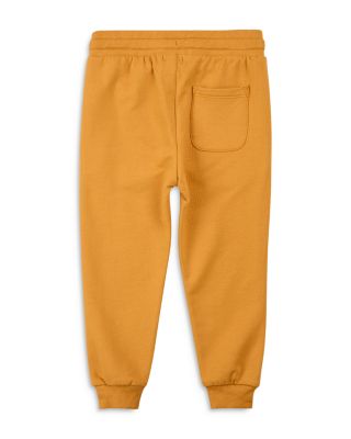 Boys' Knit Sweatpants - Little Kid