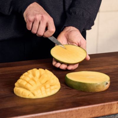 Spectrum 4" Paring Knife