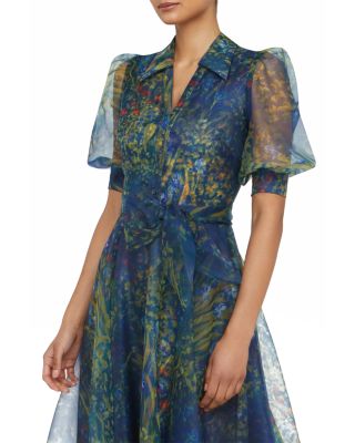 Winnie Puff Sleeve Dress