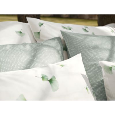 Aiko Blanc Sham, Euro