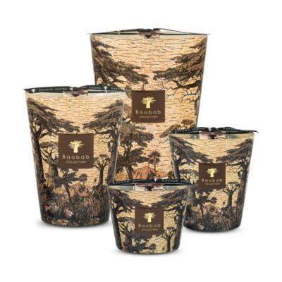 Max 10 Sacred Trees Mankono Candle, 17.6 oz.