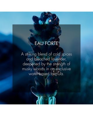 Sauvage Eau Forte Parfum 3.4 oz.