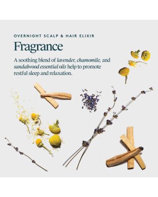 Overnight Scalp & Hair Elixir 1.7 oz.