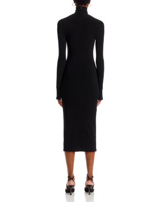 Long Sleeve Turtleneck Midi Dress