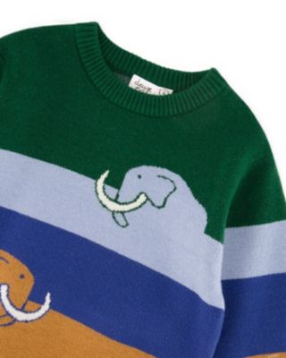 Boys' Long Sleeve Knit Sweater - Baby