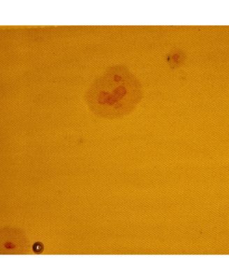  MM Saigon Top Handle Bag Coated Canvas with Leather