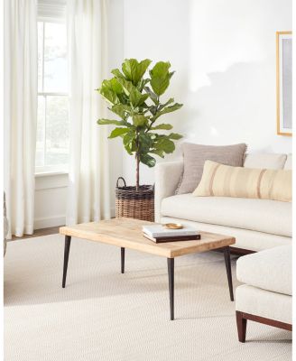 Dash Albert by Annie Selke DA291 Herringbone Indoor/Outdoor Area Rug, 4'0"x6'0"