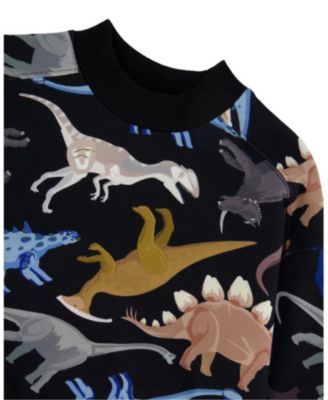 Boys' Pullover Fleece Sweatshirt - Little Kid