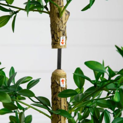 5' Artificial Shady Lady Black Olive Tree