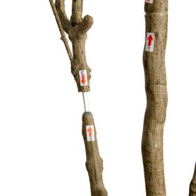 8&#39; Artificial Minimalist Japanese Pieris Tree