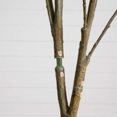 7&#39; Artificial Dogwood Tree