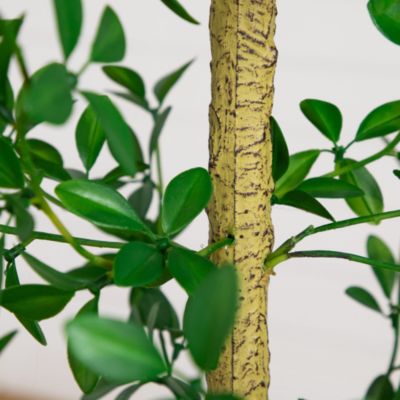 7' Artificial Shady Lady Black Olive Tree